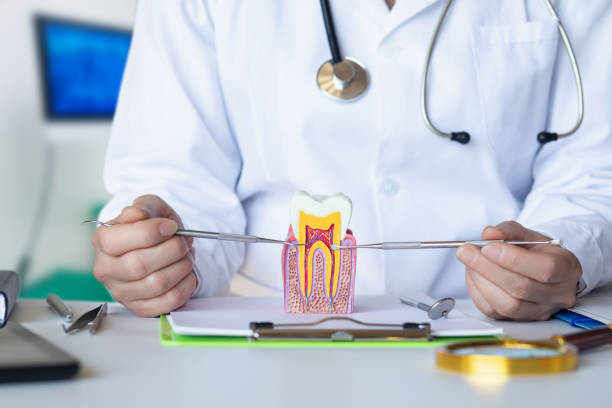 Best Emergency Dental Care for Broken or Chipped Teeth in Freemansburg, PA